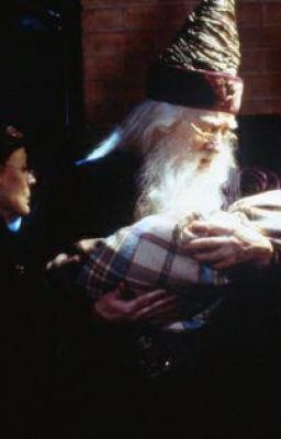 Гарри Поттер-МакГонагалл