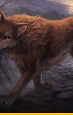 Жизнь в волчьей шкуре.