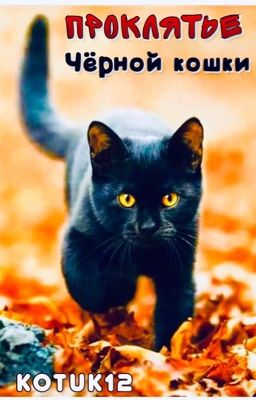 Проклятье чёрной кошки
