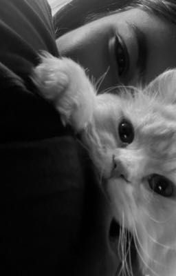 младшая турбо