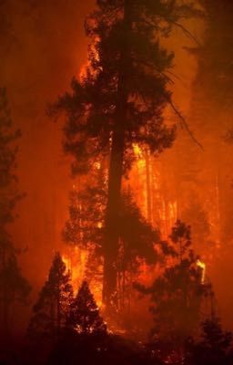 Война или Мир