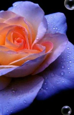 Мажорчики [2 Части]