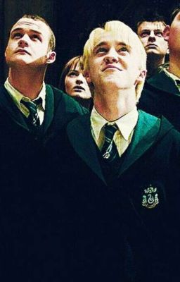 Гриффиндорская заучка и Слизеринский принц.