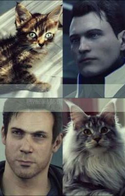 Вы что-то скрываете, детектив?