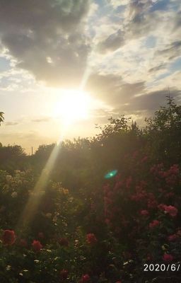 °Дневник Жизни°