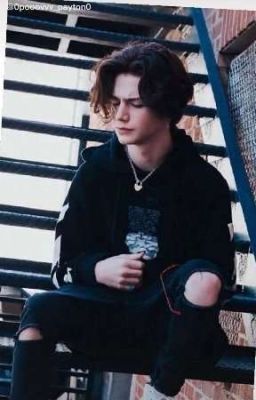 ПРОСТО ИСТОРИЯ ПРО АМЕРИКАНЦЕВ И ПЭЙТОНА