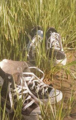 Сань, мы выбрали правильный путь?