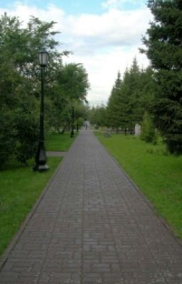 Встреча В Парке