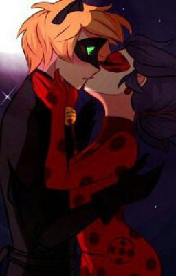 Леди баг и кот Нуар