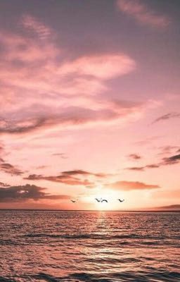  «Cookies&dreams» or Émilia's imagination 