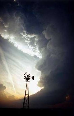 Чашка кофе на крыше Синтракорп.