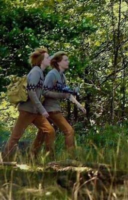 Тройная любовь