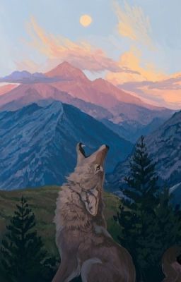 Тайна ночного леса