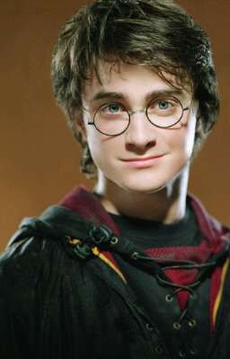 биография из мира Гарри Поттера 