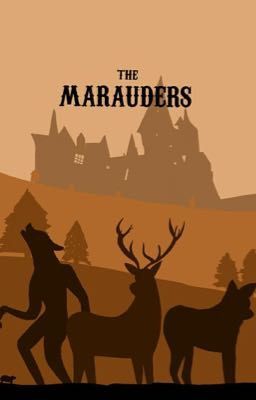 Age of marauders/эра мародёров