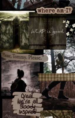 Бегущий в Лабиринте. Новая Переменная