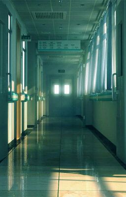 Мир За Стеной