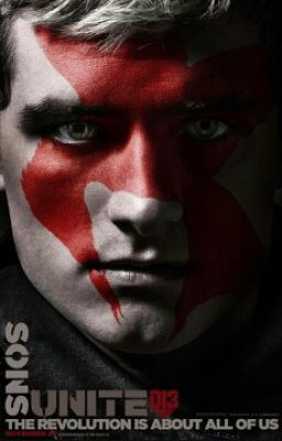 Сойка-пересмешница - Пит Мелларк.