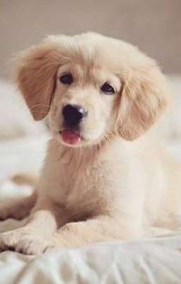 моя интересная жизнь 2