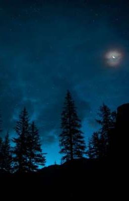 Witch | Witchcraft | Spells | Curses