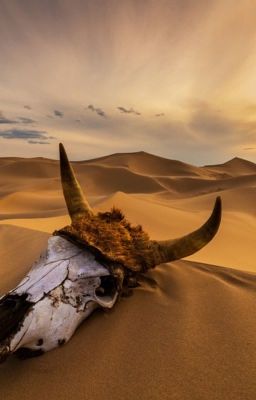 Голод Египта