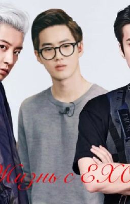 Жизнь с ЕХО