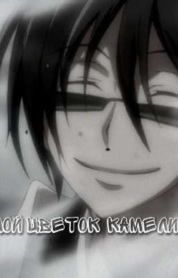 мой цветок камелии