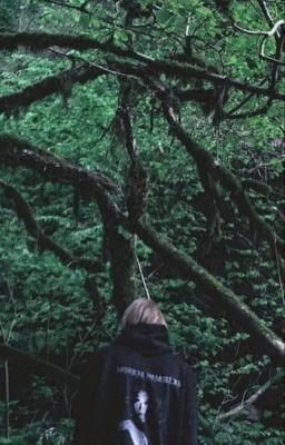 Кошки Мышки