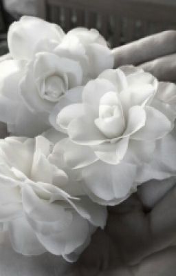 Невозможная Любовь