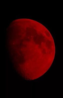 Кровавая Луна