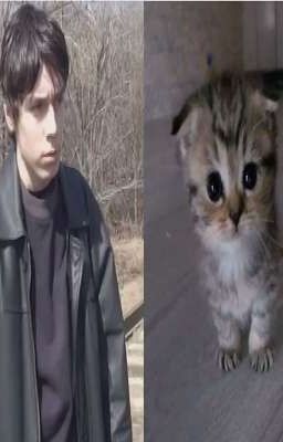 Тени надежды||Никита Лыткин||Молоточники