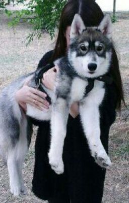 Игра с огнем.