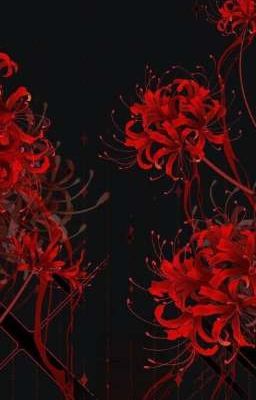 𝗿𝗲𝗮𝗰𝘁𝗶𝗼𝗻 𝗙𝗔𝗡𝗗𝗢𝗠𝗦. ☆