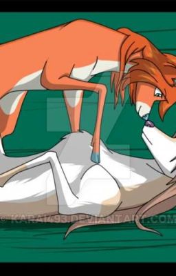 Блум и Валтор оленями стали