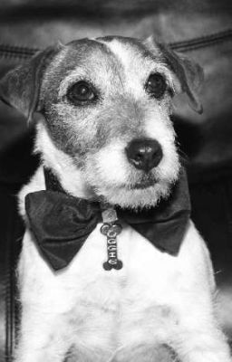 Угги. Моя жизнь