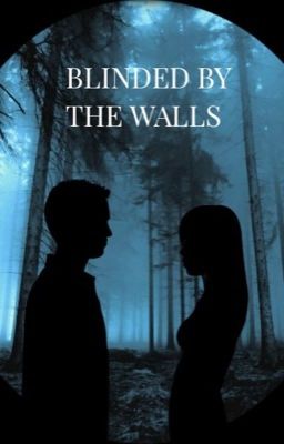 Blinded by the Walls | Драмиона