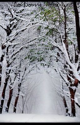 Я буду помнить.