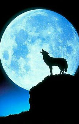 Одиссея по мирам. Оссия.