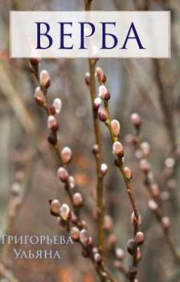 Верба