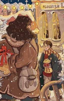 Хогвартс Драко/Гарри