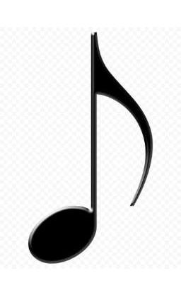 Тексты песен