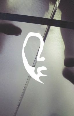 Беседа в ночи