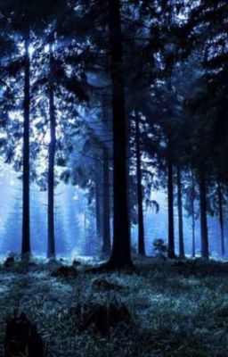 S.w.é.é.ț. //сладкий