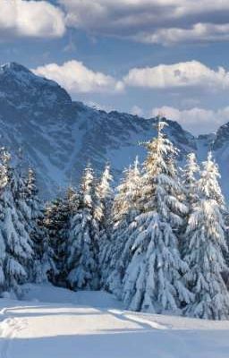 Любовь на снегу