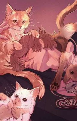 Мы еще встретимся