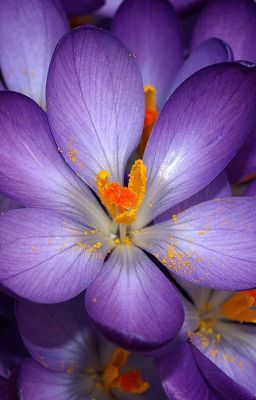 Советую к просмотру