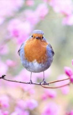 Страшные Истории