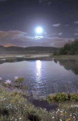 Стихи и поэзия