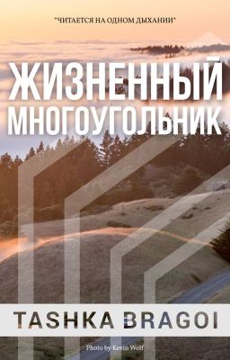 Жизненный многоугольник