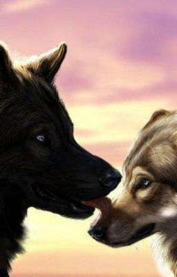 стихи про оборотней) 